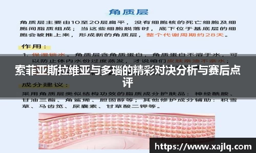 索菲亚斯拉维亚与多瑙的精彩对决分析与赛后点评